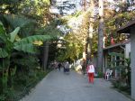 Улица Ульянова